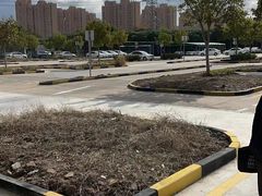 -光明驾校·学车·陪驾(杨浦店)