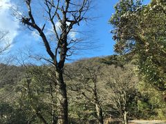 -永州阳明山国家森林公园