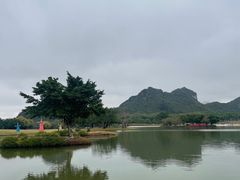 -南宁花花大世界景区