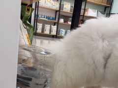 -佳雯宠物医院(四明中路分院)