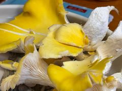 -民食香·腊排骨野生菌美食(木府店)
