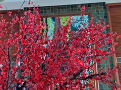 -雅安楠水阁温泉酒店