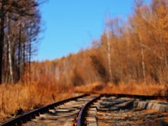 -莫尔道嘎国家森林公园