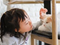 -平行世界·猫咖(首经贸店)