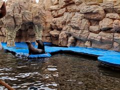 -华夏文旅海洋公园