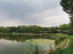 -北坞公园