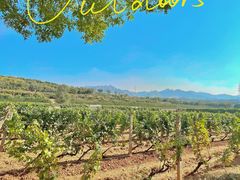 -北京张裕爱斐堡酒庄