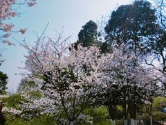 -南山植物园