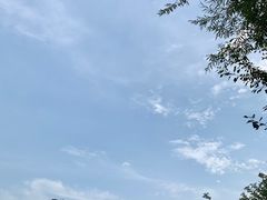 -五龙城郊森林公园