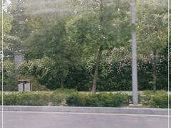 -济南方特东方神画