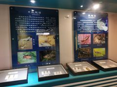 -上海昆虫博物馆