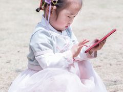 -嘉定紫藤园