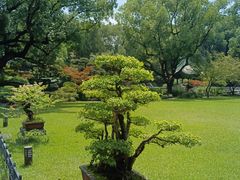 -申粤轩酒楼·三十年粤菜经典(丁香花园店)