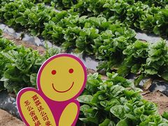 -北国之春国宴(乌兰察布店)