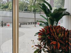 -良伴无忧宠物医院(泰欣嘉园店)