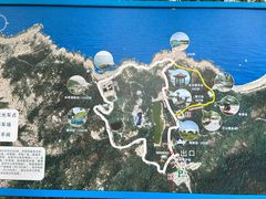 -广东惠东海龟国家级自然保护区