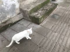 -悟饮门市景店