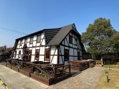 -金山农民画村-枫泾波兰倒置屋