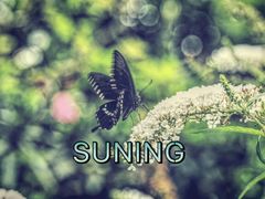 -苏州河梦清园环保主题公园