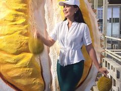 -都念榴莲·城市榴莲