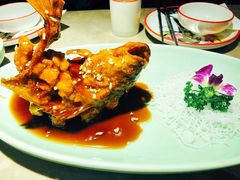 -新白鹿餐厅(金鹰新街口店)