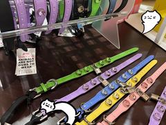-斯普瑞斯奥特莱斯