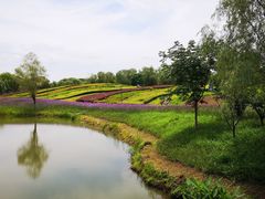 -梁鸿国家湿地公园