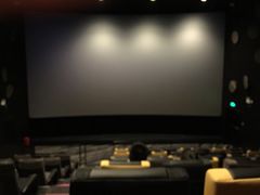 -百美汇影城(LUXE嘉里中心店)