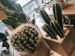 -蜜桃餐厅·伴山(湖滨商业街店)