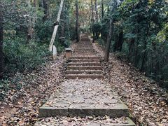 -九曜山