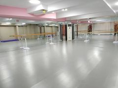 -蒲公英舞蹈艺术中心(解放路校区)