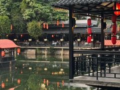 -侨美·唐荔园·40年地道粤菜