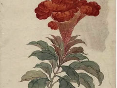 -六出私塾LiuChu•成人美术书法系统课程专业画室(熊婆婆的花园店)