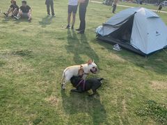 -栖露营camping·天幕烧烤·团建拓展·采摘营地