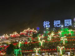 -枇杷园食为鲜火锅(南山店)