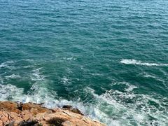 -广东惠东海龟国家级自然保护区