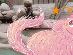-天赐温泉