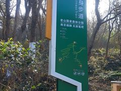 -南京老山国家森林公园
