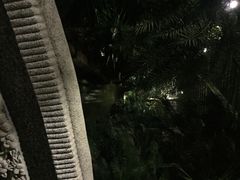 iphone_upload_pic-龙达温泉生态城