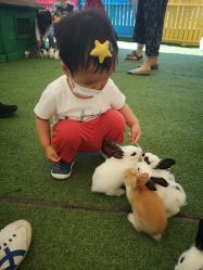 -萌宠亲子动物乐园(槐房万达店)