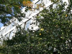 -同济大学(嘉定校区)