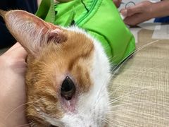 -荔康动物医院(康王北路店)