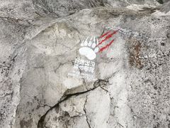 -上海海昌海洋公园-冰山北极馆