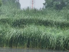 -红旗渠风景区