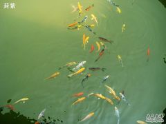 -济南国际园博园