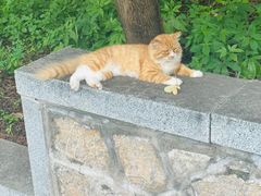-四门塔风景区