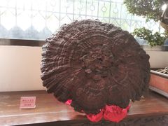 -陶然轩(沙面店)