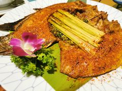 -紫滇源云南生态菜(丹凤街店)