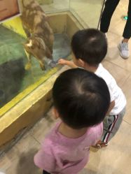 -未来动物城主题公园(正弘城店)