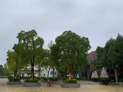 -南京银杏湖乐园